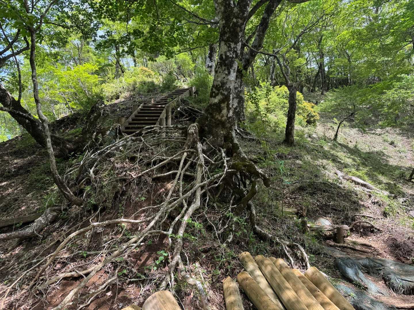 登山道の整備をしてくださってました🙇‍♀️