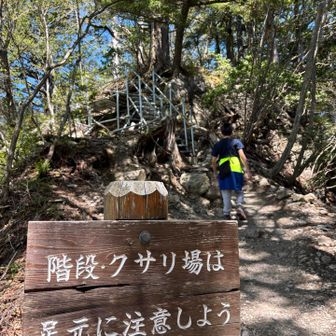 もうすぐかな？
