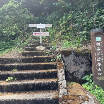 ０海抜へ