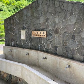 飲み水あり