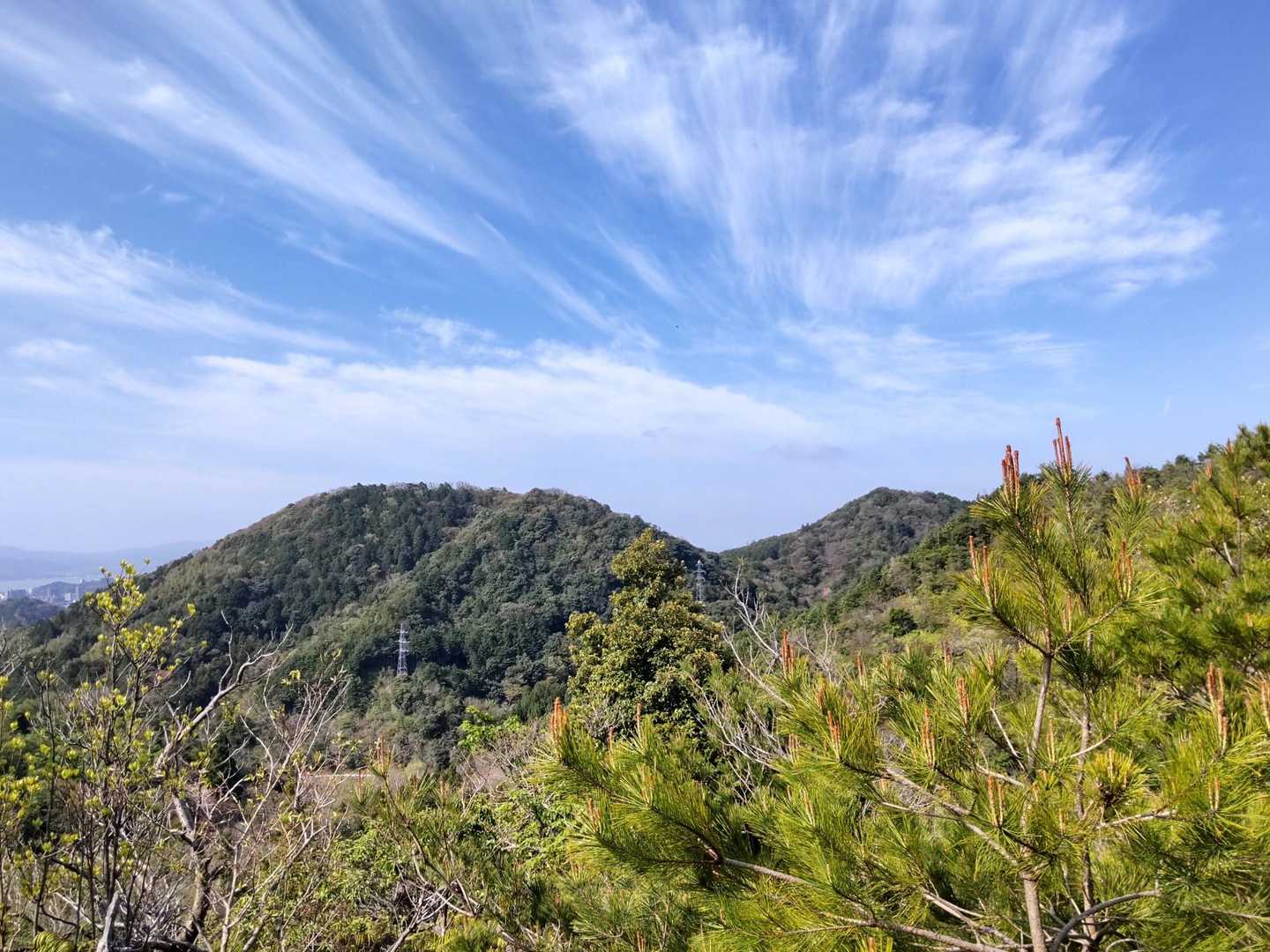 真山-鳥ノ子山-清谷峰 周回コースの写真