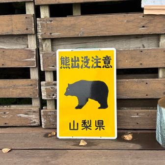 林道から登山道まで至る所に熊出没注意の看板⚠️