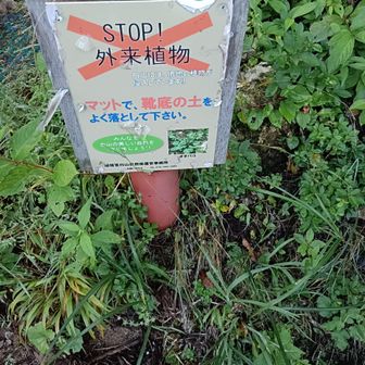 外来植物の持ち込み禁止❌️
マットで靴の土を良く落として入って下さいね😉