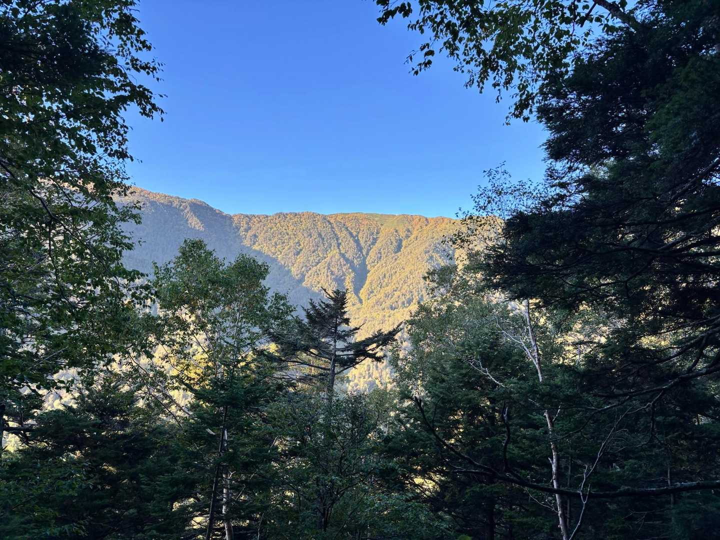 どこかの山の稜線が見えた