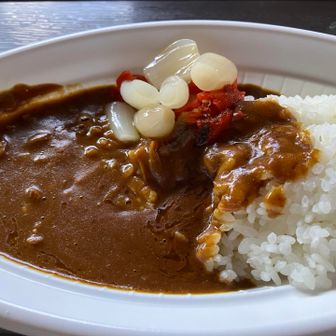 蛭ヶ岳山荘の蛭カレー美味しかったです