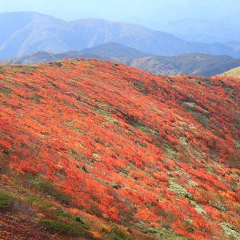 ここからの紅葉が綺麗