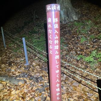 不眠の呪いをかけられます😱