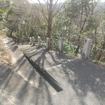 階段で下山です。