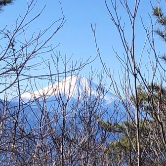 生藤山の眺めはあまり良くない。