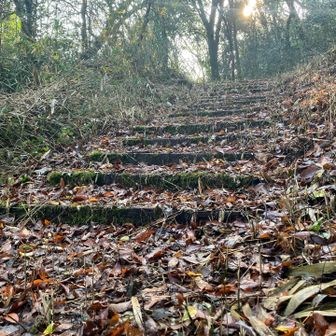 ここにもりっぱな階段