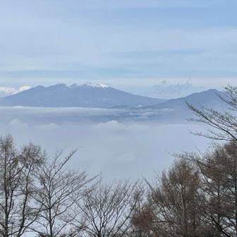 山頂の開けてる所から、八ヶ岳が見える。
残雪の八ヶ岳、凄く美しいですねー。
写ってないけど、左には残雪の北岳もいます。
まだ甲府盆地には、雲海が残ってましたが…。