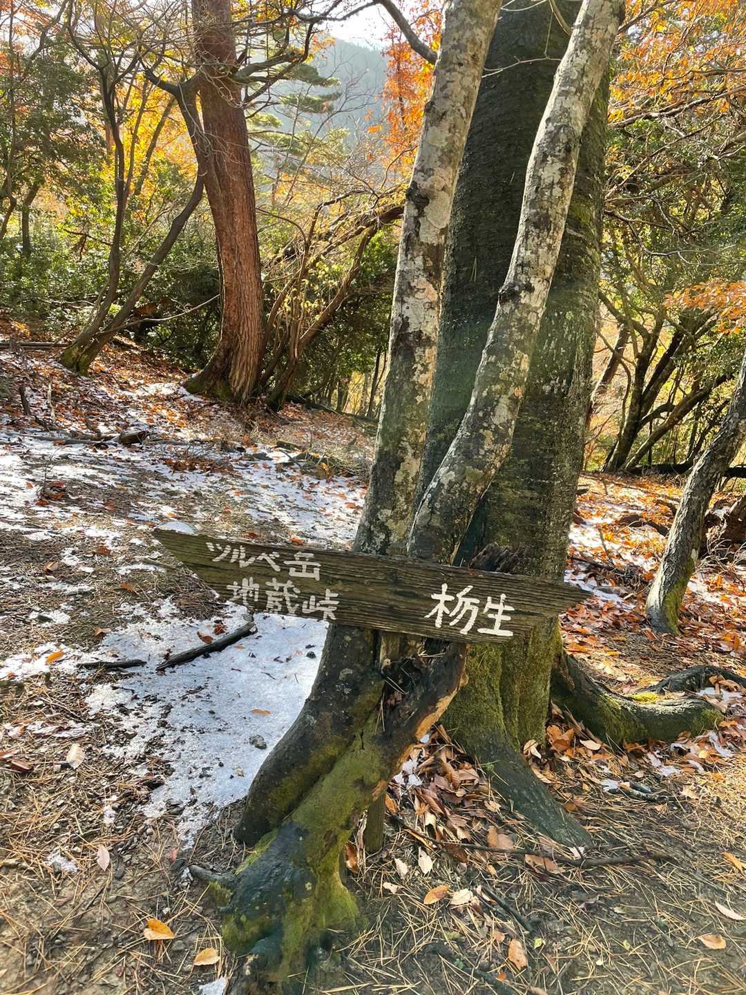 ときどき昨日降ったアラレが残ってる