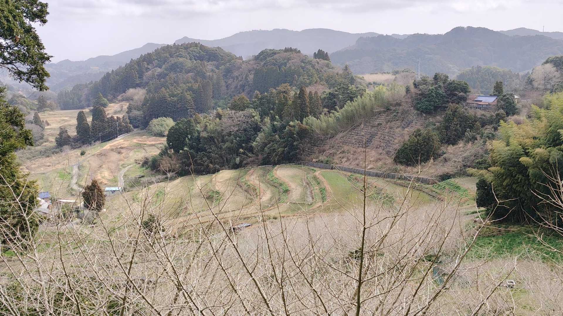 津森山へ向かう途中、千枚田が！