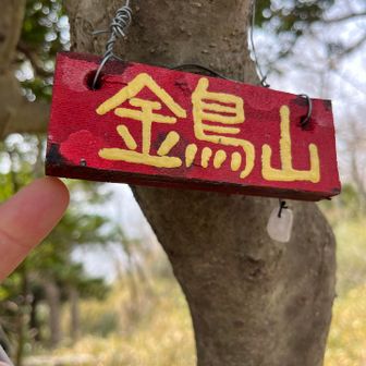 小さくて可愛いプレート💕　金鳥山