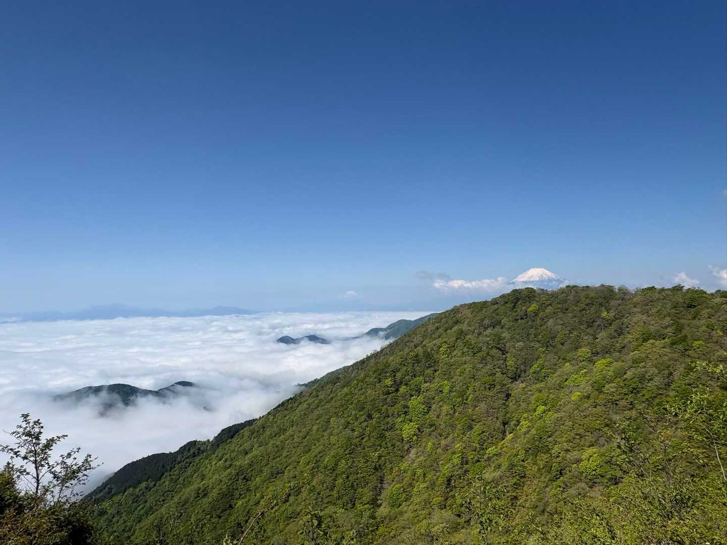 戸沢の出合-塔ノ岳-丹沢山-政次郎ノ頭 往復コースの写真