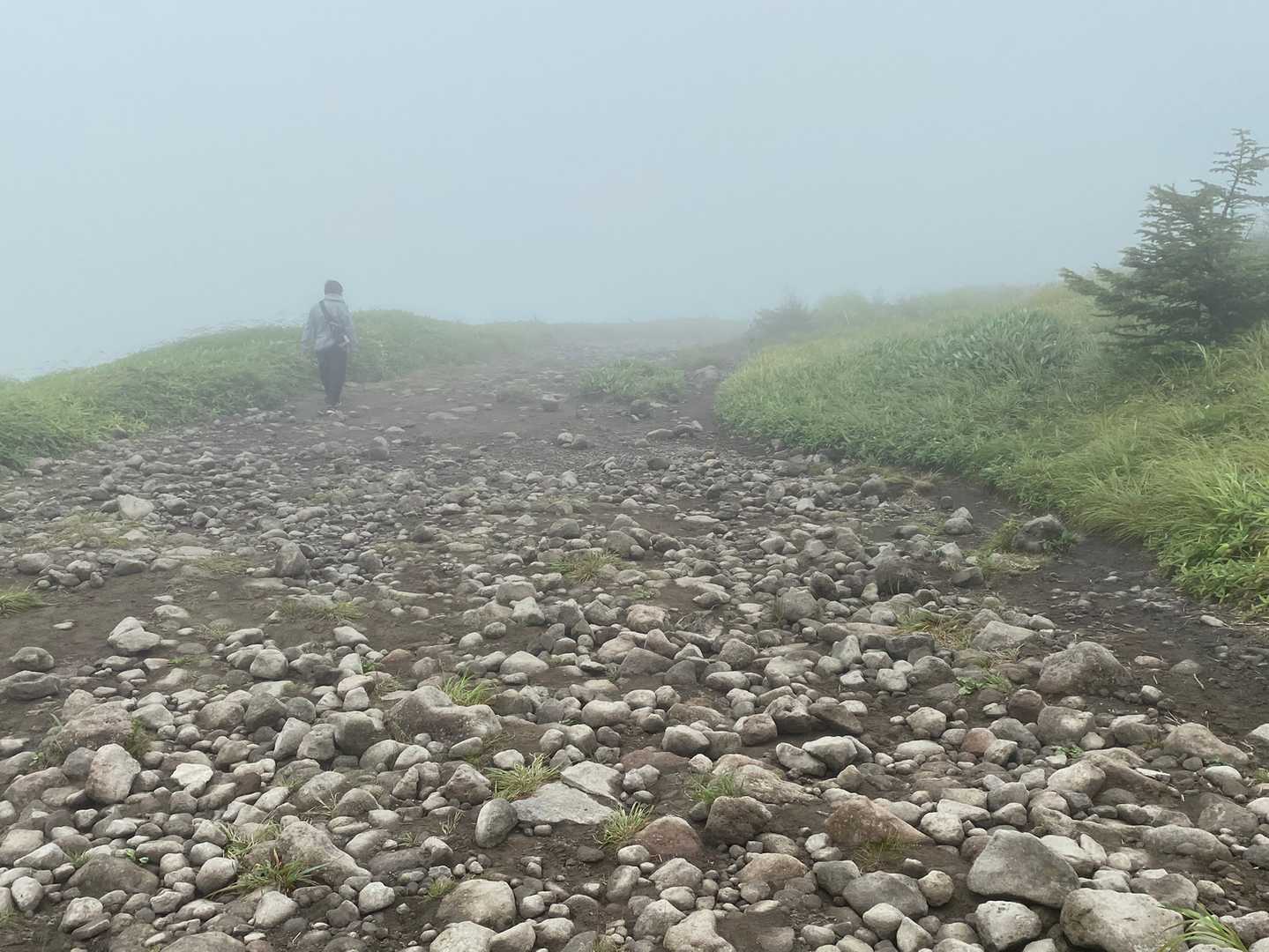霧ヶ峰-車山肩バス停 縦走コースの写真