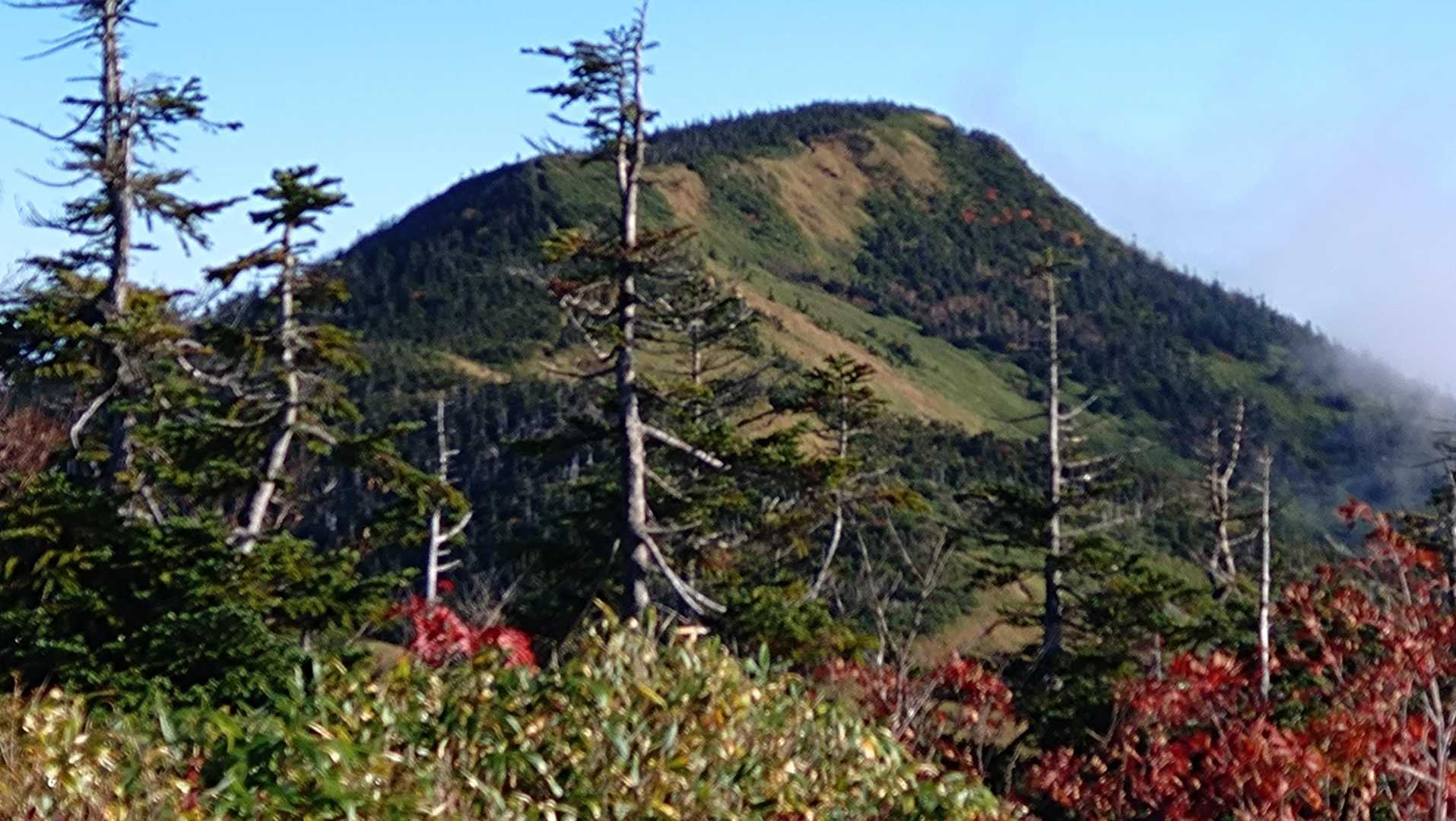 山頂駅-金山沢の頭-裏寺子屋山-岩菅山-裏岩菅山-一の瀬バ 縦走コースの写真
