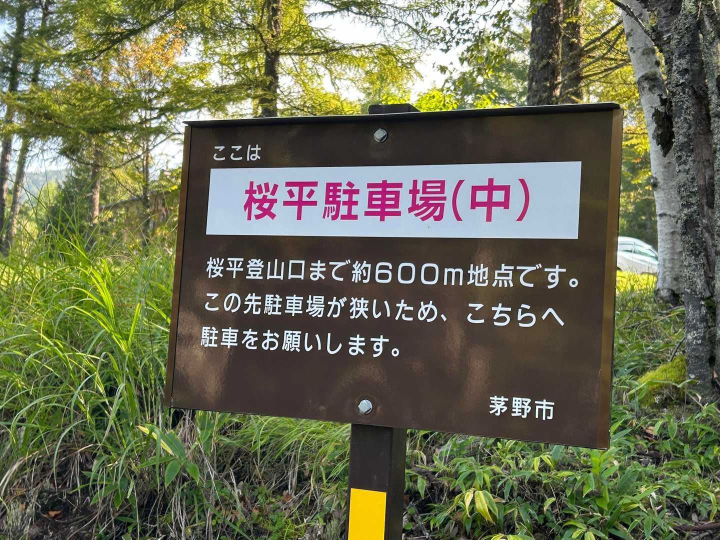 桜平ゲート-桜平登山口-夏沢峠 縦走コースの写真