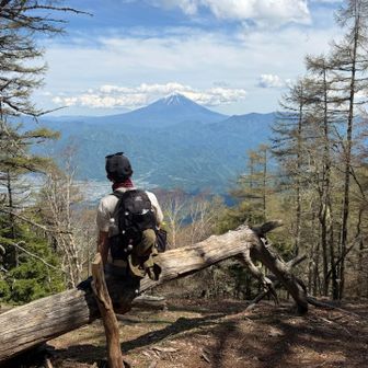 ちょうどいいところに座れる木があります。
富士山最高！