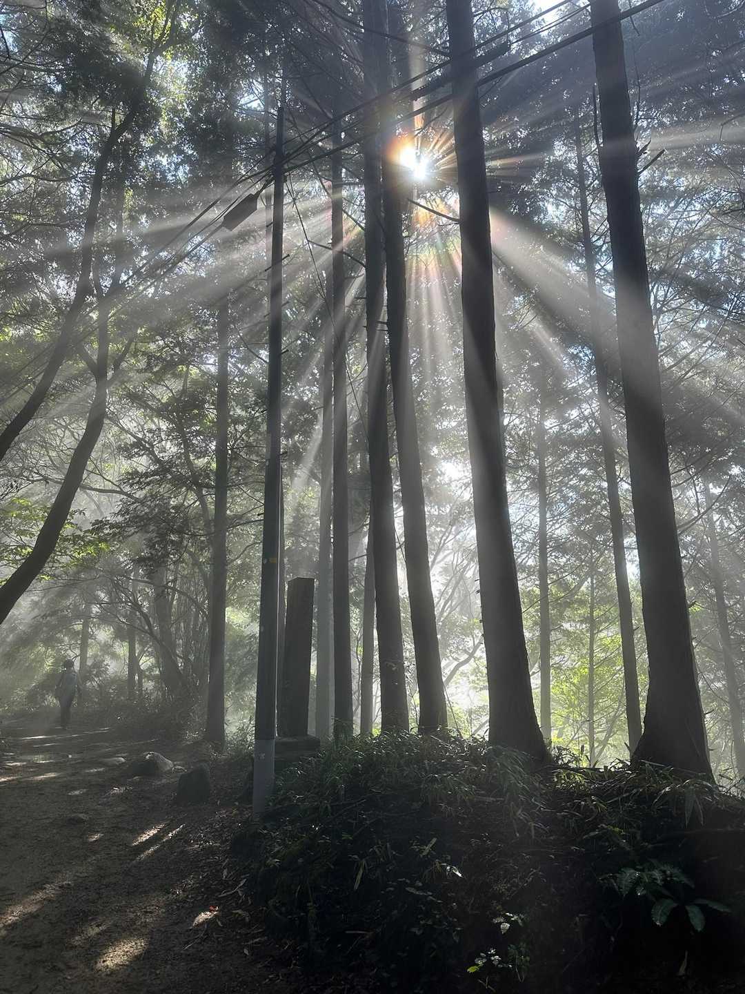 金剛山の神様が降りてきた！😇