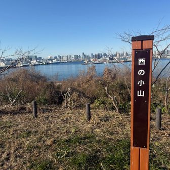 西の小山＼(^^)／