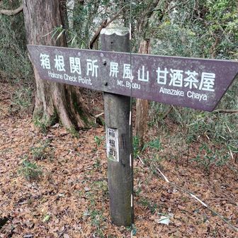 箱根関所が近いらしい