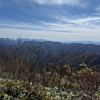 頂上からやの景色枝が…ちょっとじゃま(笑)