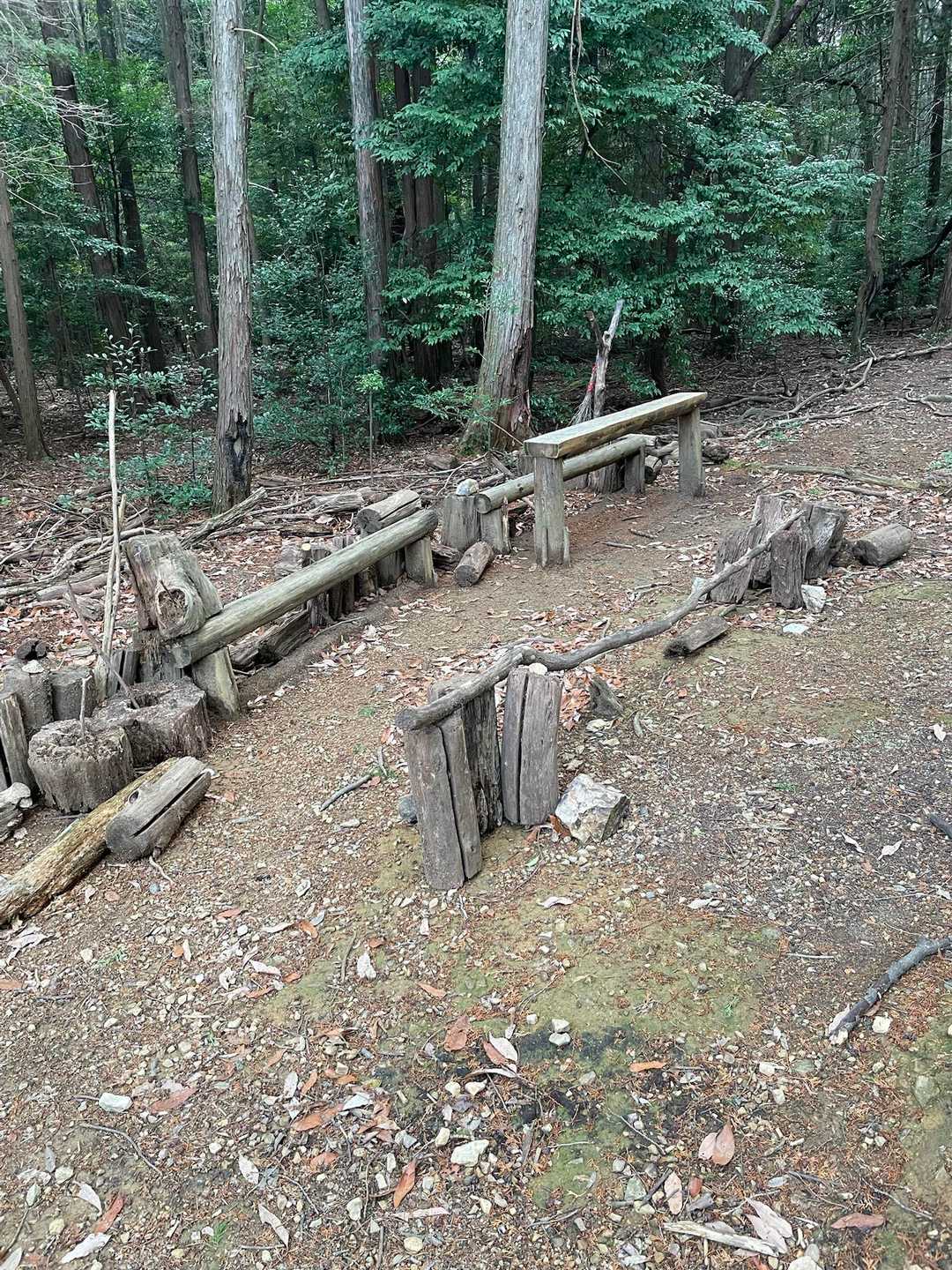 いつの間にか増えたベンチ