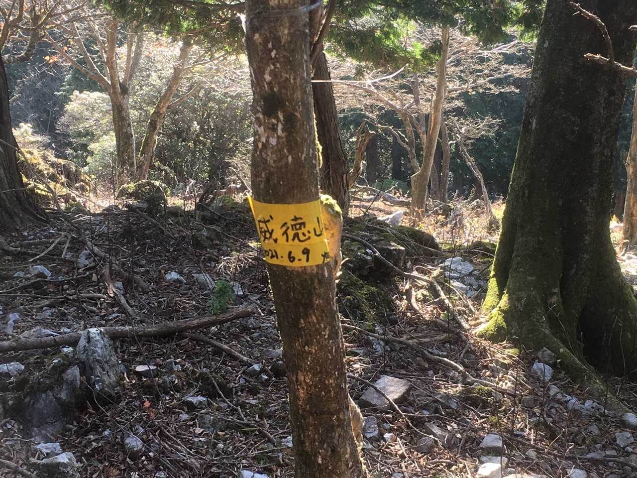 見当たらないけど、テープに直に書いてありました😁