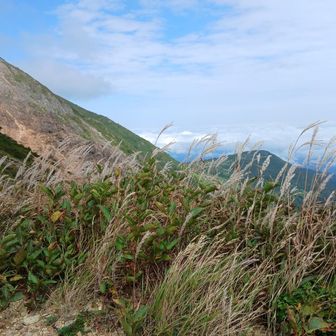 すこし秋の気配。