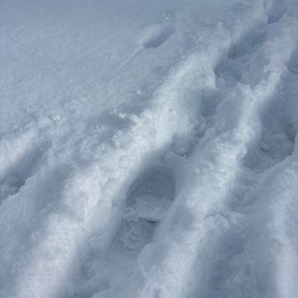 冷えて固くなった雪の上に、新雪が10センチぐらい乗っかってる感じ、次来る時はスノーシューを装着しようっと
