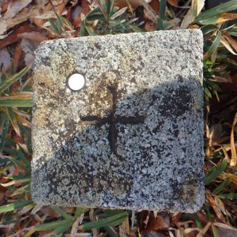 三等三角点
点名	藤ノ尾山