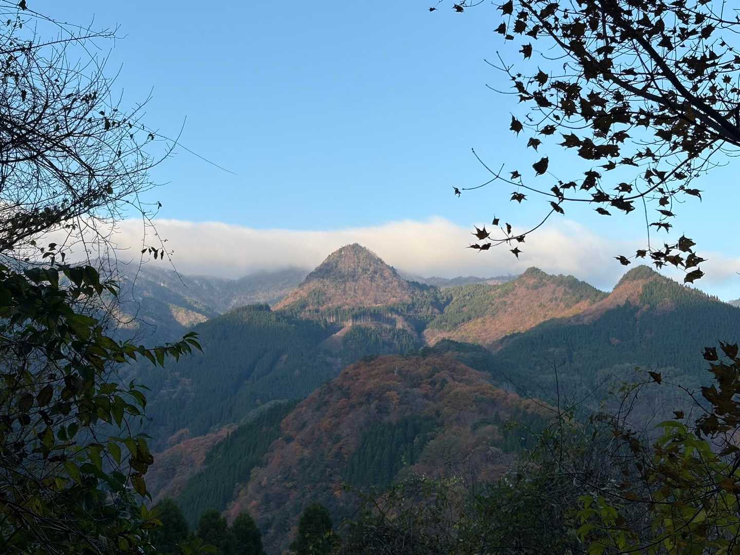 上の方はガスが掛かっている⛰️☁️
正面の尖った山は稲積山1269m⛰️