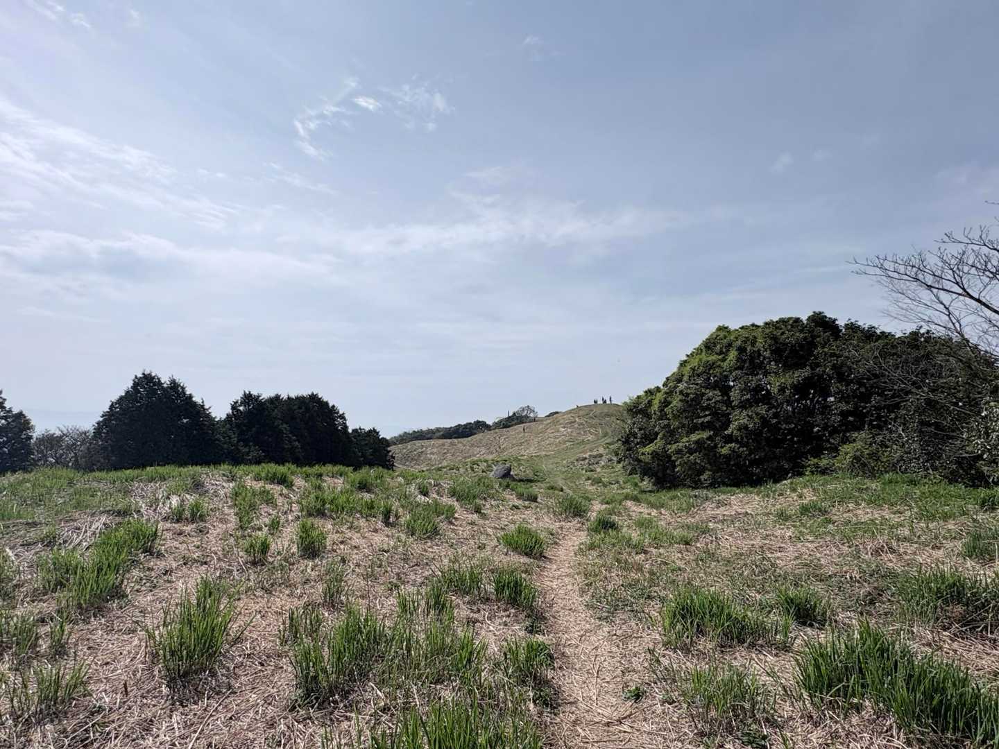おおーひらけた！
そろそろ基山頂上付近