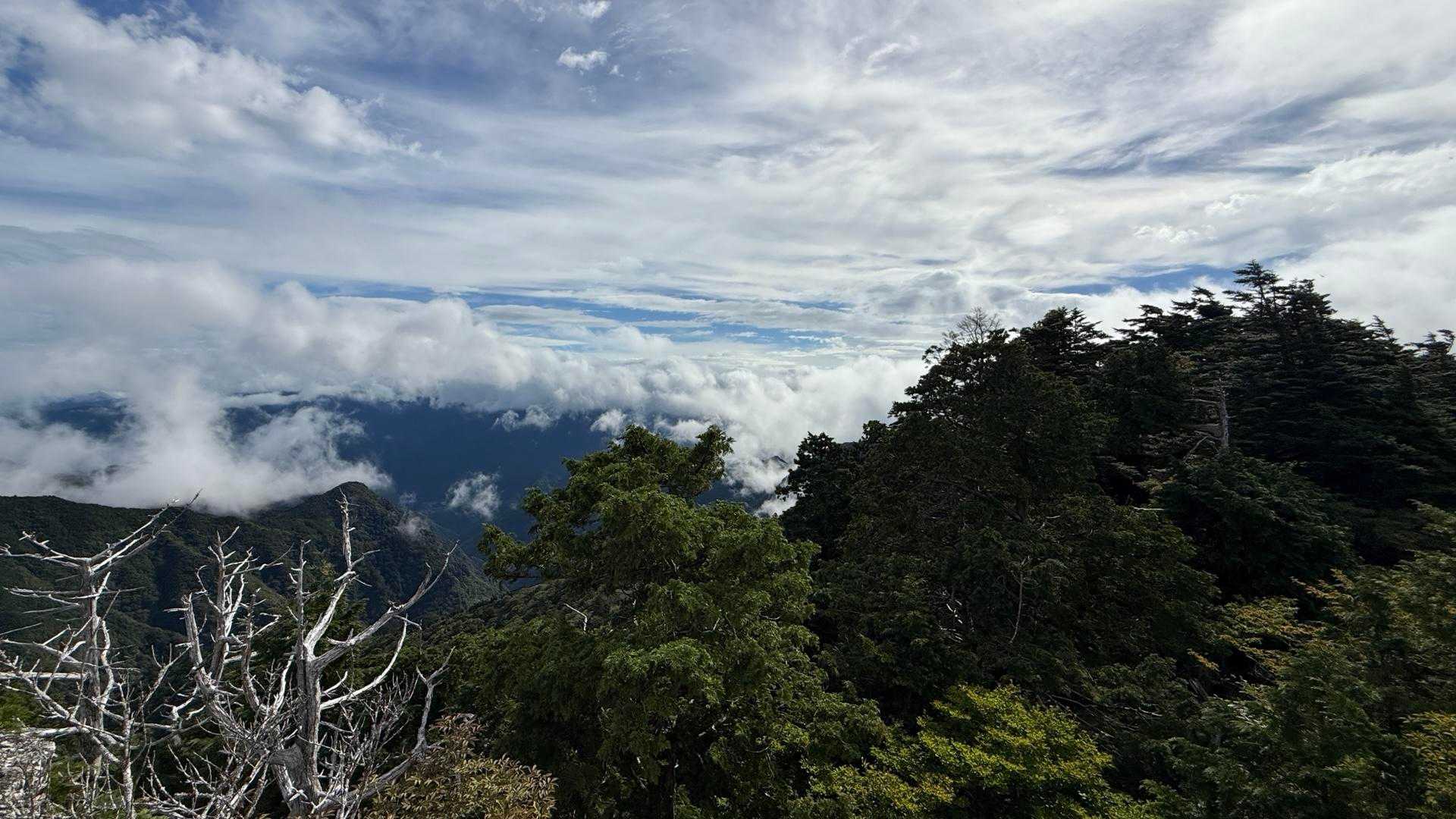 洞辻茶屋-山上ヶ岳 往復コースの写真