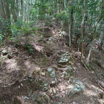 急坂。下りもシンドイ。