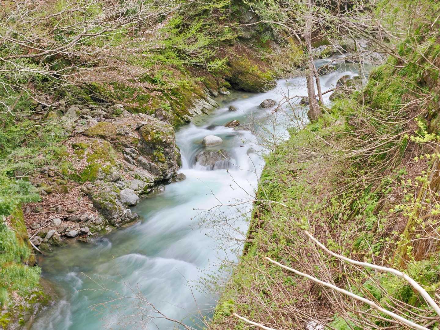 大恐山 往復コースの写真