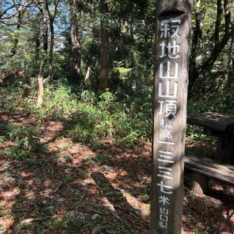 山頂😁