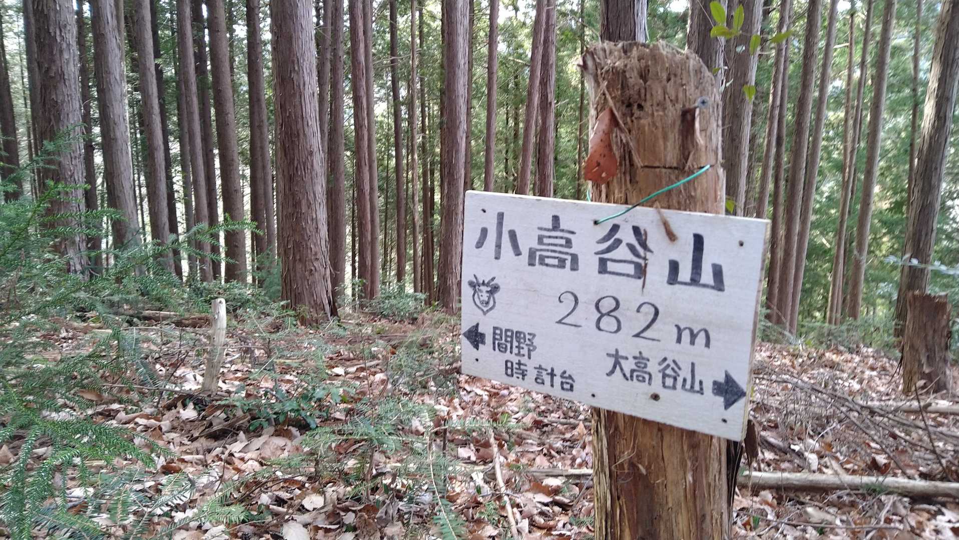 ここまででルートの軌跡なし