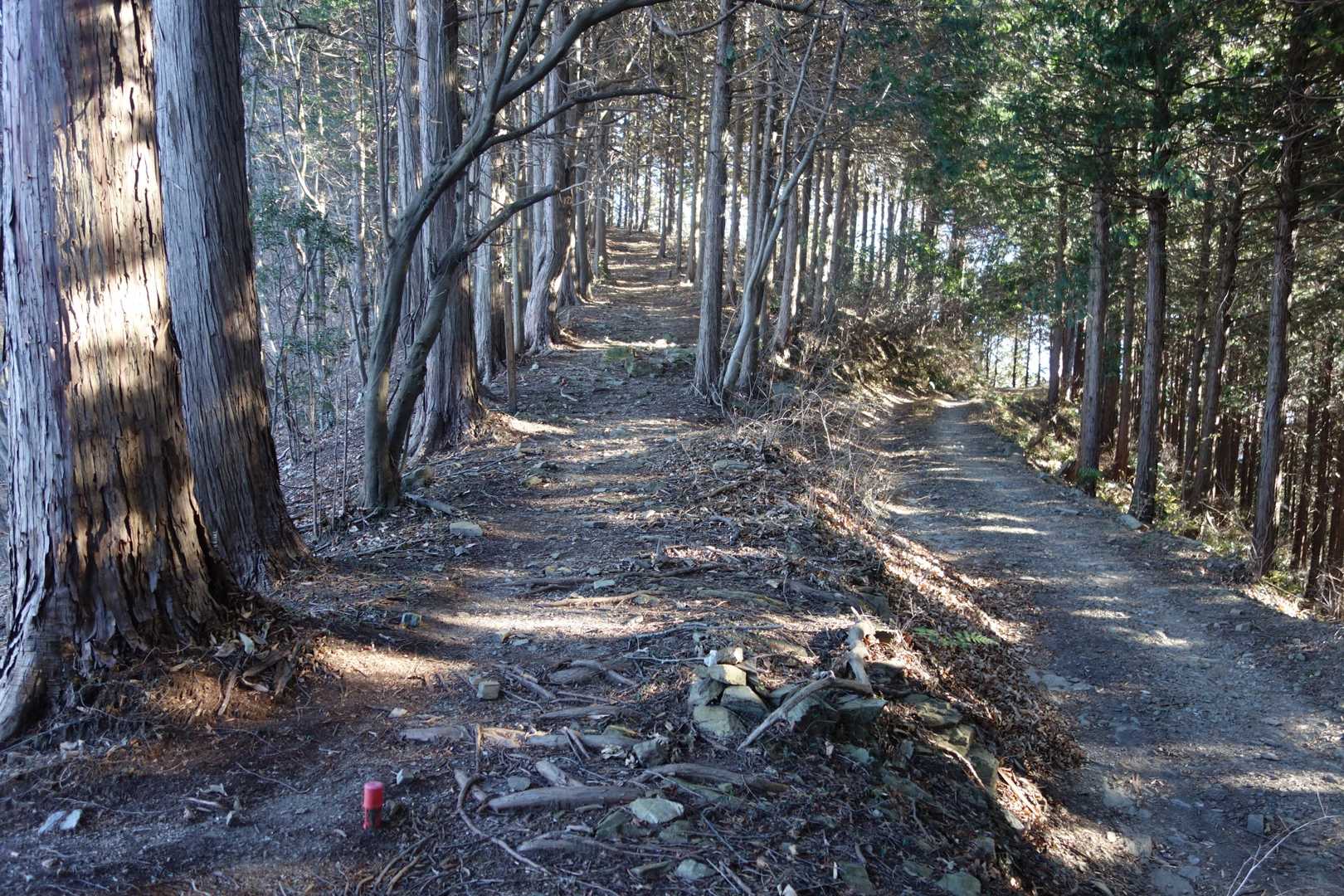 やっと登山道か！
しかしすぐ車道と合流
