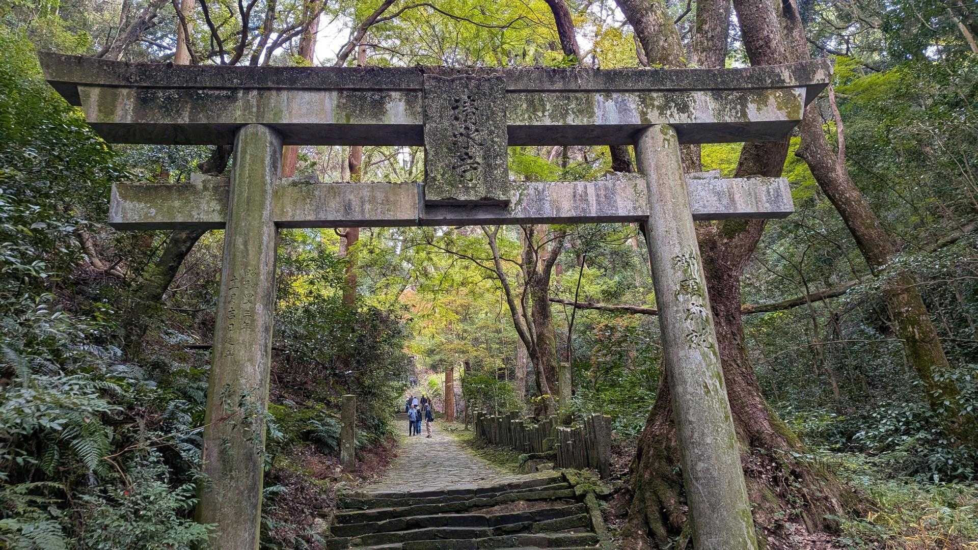 さすがにここで次男は妻に怒られる。