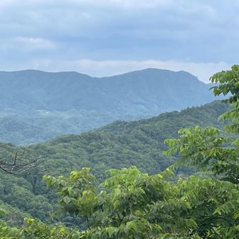 霊山方面だけ開けてる