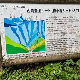 ダッシュで15時代には下山。
今となってはスマホで色々調べられるし、装備も充実してるし、道も整備されてるし、小屋もあるけど、、、大正時代の台風直撃の中は壮絶だったろうな…
自分も遭難しないよう気をつけます🫡