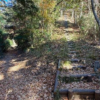 その先に、尾根を直登する階段と巻き道の分岐。
