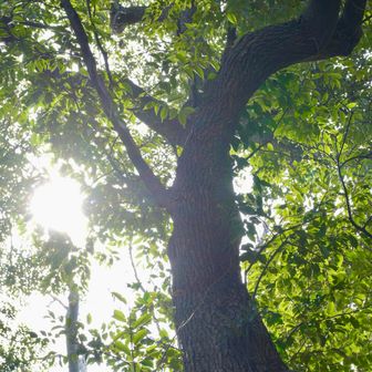 日が出てきてよかった