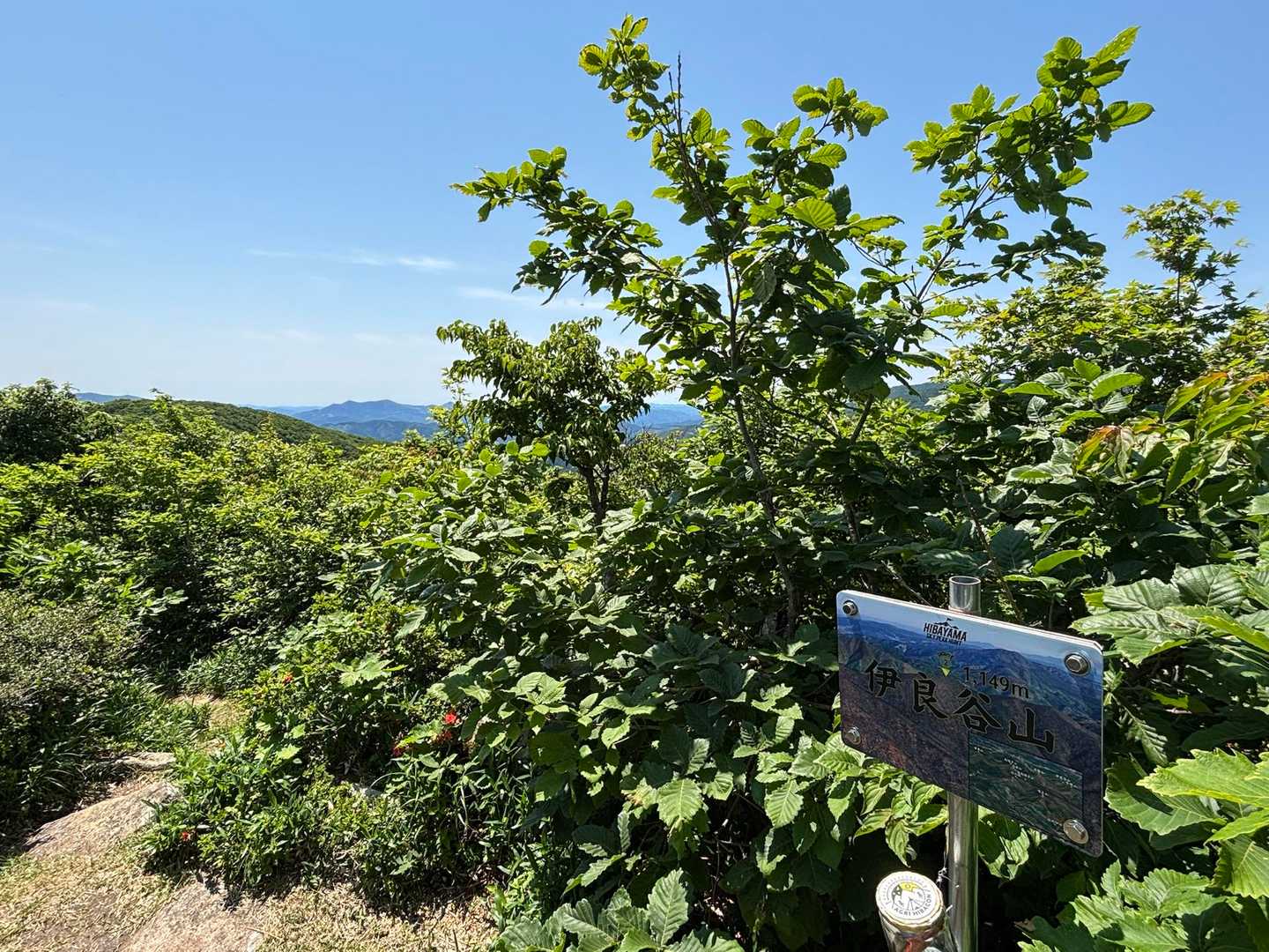 稜線途中に出てくる伊良谷山⛰️