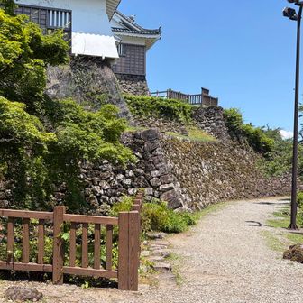 本丸東側の石垣