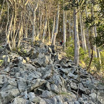 この辺りから山容が変わる