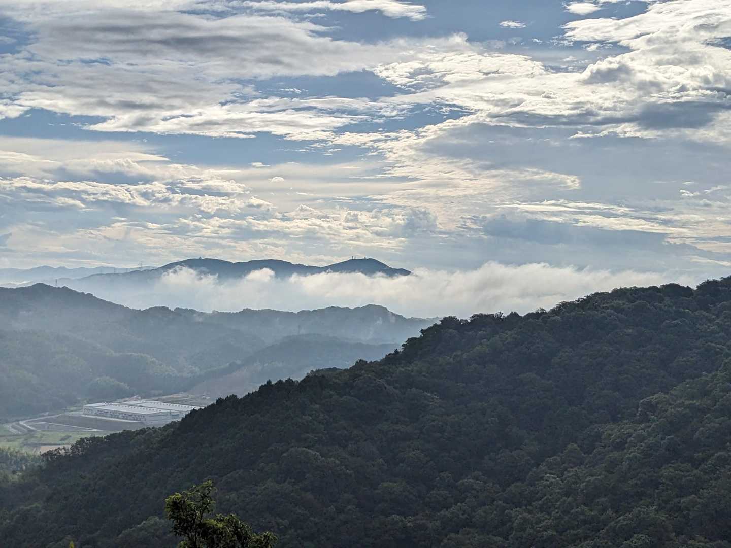 雲海
