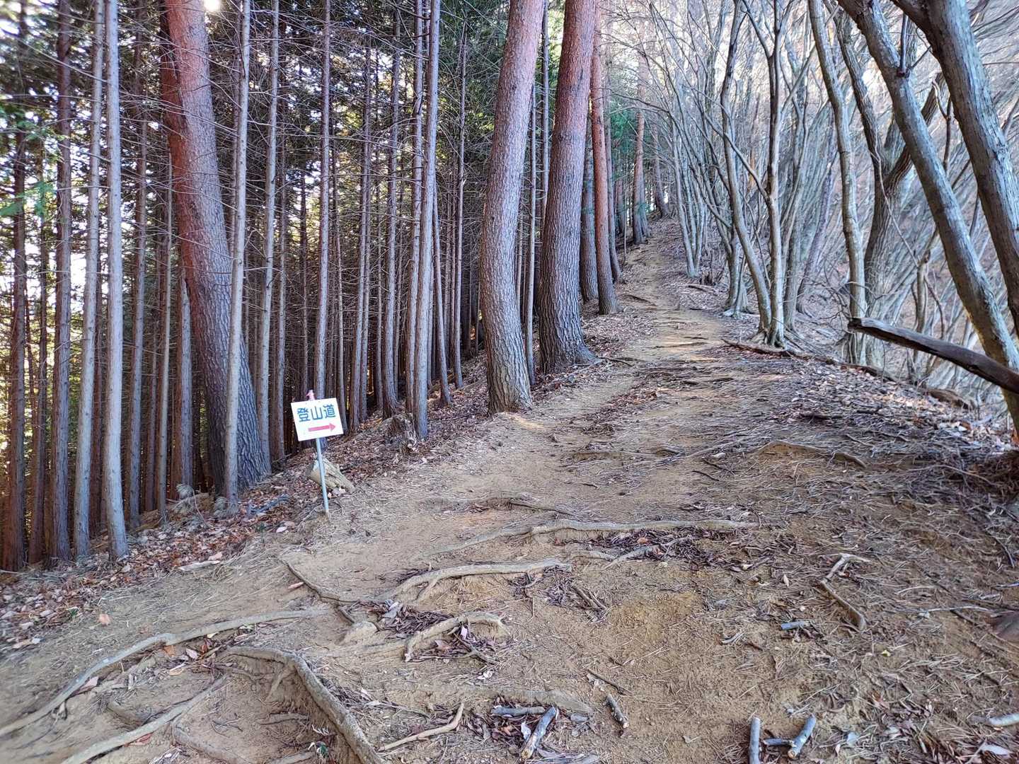 稜線に乗りました